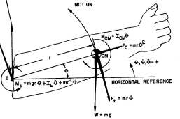 biomechanics