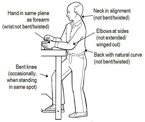 Optimal Working Posture